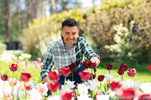 Image of middle-aged man taking care of flowers at garden