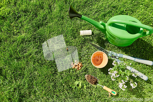 Image of watering can, garden tools and flower at summer