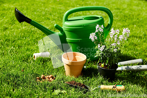 Image of watering can, garden tools and flower at summer