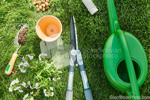 Image of watering can, garden tools and flower at summer