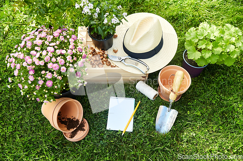 Image of garden tools, wooden box and flowers at summer