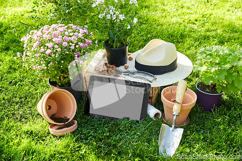 Image of tablet pc, garden tools and flowers at summer