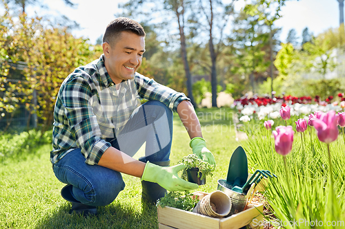 Image of happy man with tools in box and flowers at garden