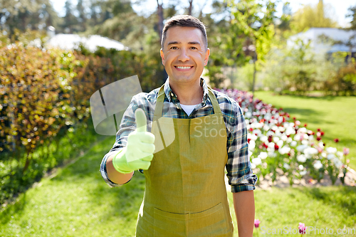 Image of happy man in apron showing thumbs up at garden