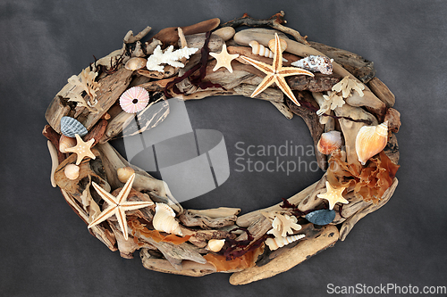 Image of Driftwood Seashell and Seaweed Abstract Frame  