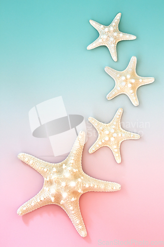 Image of Starfish Seashell Creative Background Composition