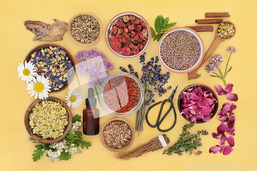 Image of Herbs and Flowers for Aromatherapy Plant Based Treatments