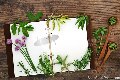 Image of Freshly Picked Herbs for Food Seasoning