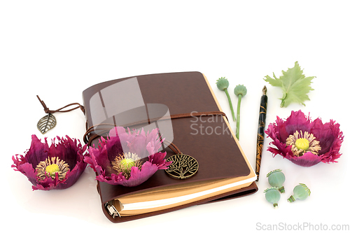 Image of Poppy Flowers and Seeds Used in Herbal Medicine 