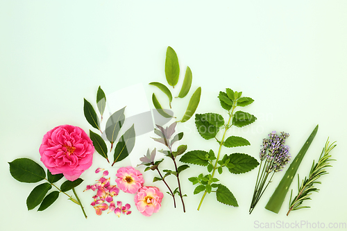 Image of Herbs and Flowers for Natural Plant Based Herbal Remedies