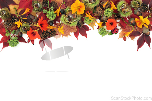 Image of Abstract Fall Background Border for Thanksgiving