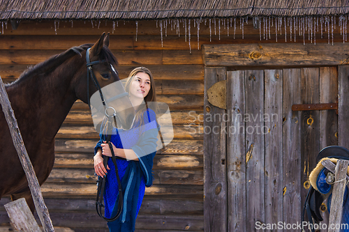 Image of A beautiful young girl holds a horse by the bridle, against the background of a log wall