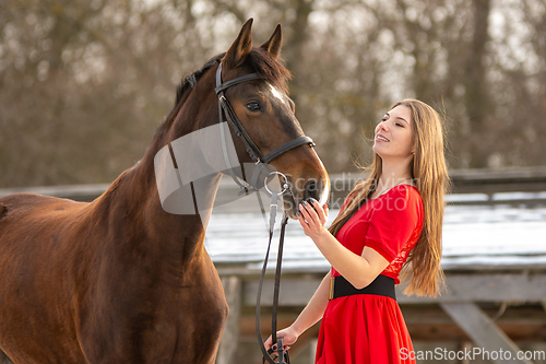 Image of A beautiful girl in a red dress strokes a horse in the rays of the setting sun