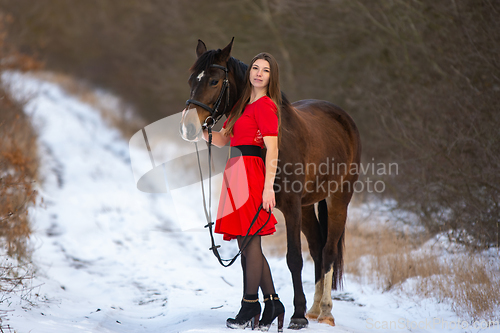Image of A beautiful girl in a red dress stands with a horse against the background of a winter forest and a road, the girl hugs the horse and looks into the frame