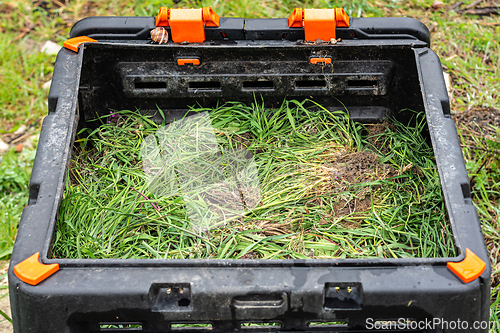 Image of Freshly cut weeds in a plastic composter