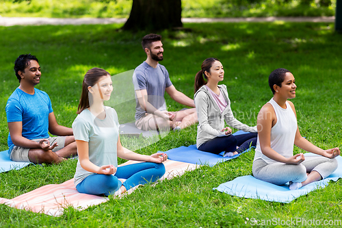 Image of group of happy people doing yoga at summer park