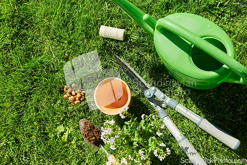 Image of watering can, garden tools and flower at summer