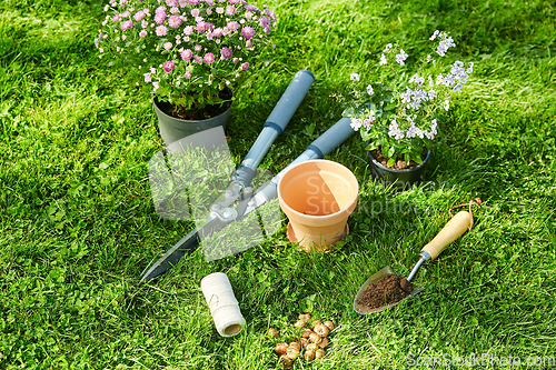 Image of garden tools, flower pot and bulbs on grass