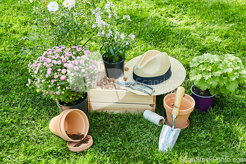 Image of garden tools, wooden box and flowers at summer