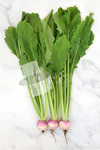 Image of Freshly Picked Turnip Vegetables for Digestive Health