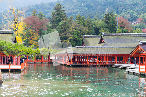 Image of Itsukushima shrine in Japan