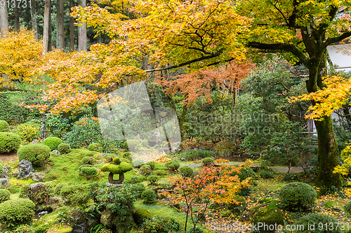 Image of Japanese garden