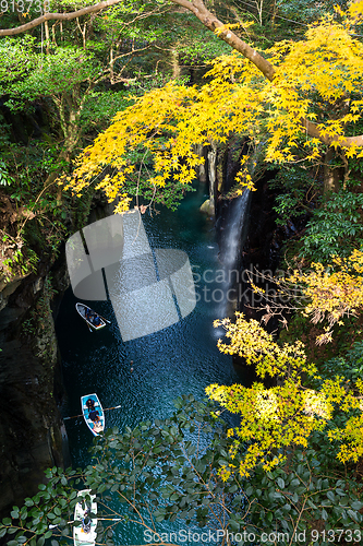 Image of Yellow leaves in Takachiho Gorge