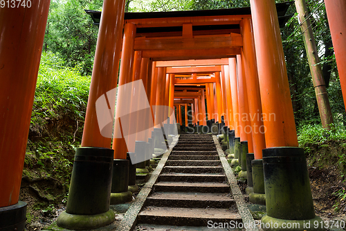 Image of Fushimi Inari Shrine Torii temple in kyoto Japan