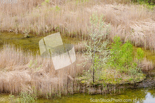 Image of abandoned flooded quarry, Czech republic