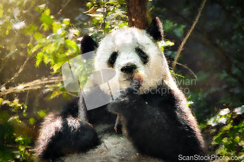 Image of Oil painting of giant panda bear in China