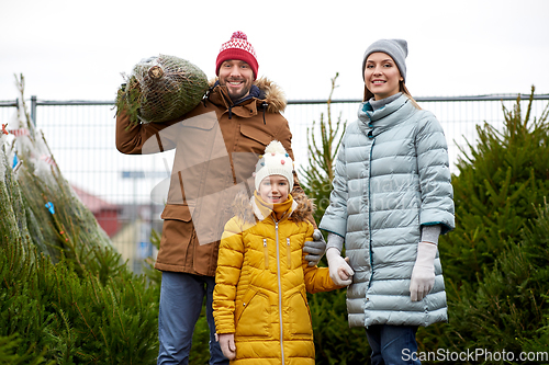 Image of happy family buying christmas tree at market