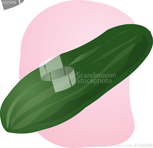 Image of Cucumber illustration