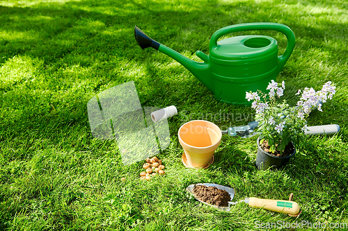 Image of watering can, garden tools and flower at summer