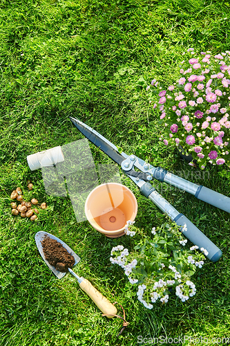 Image of garden tools, flower pot and bulbs on grass