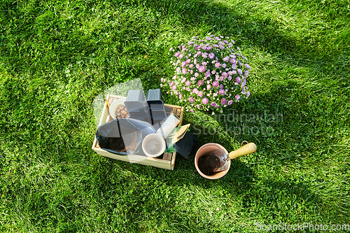 Image of garden tools in wooden box and flowers at summer