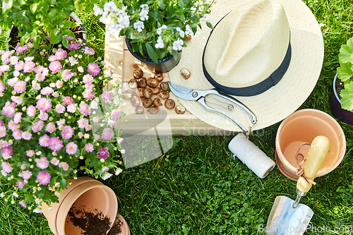 Image of garden tools, wooden box and flowers at summer