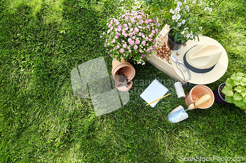 Image of garden tools, wooden box and flowers at summer