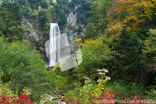 Image of Water fall in Japan