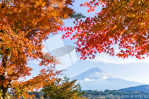 Image of Mt Fuji in autumn view from lake Kawaguchiko