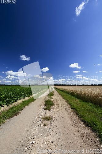 Image of Countryside road