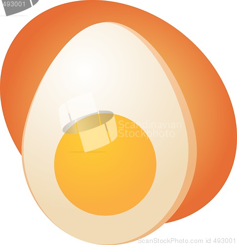 Image of Egg illustration