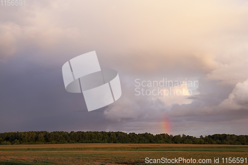 Image of rainbow over forest