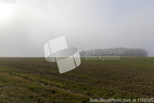 Image of autumn landscape