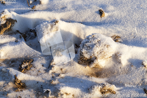 Image of dirty snow
