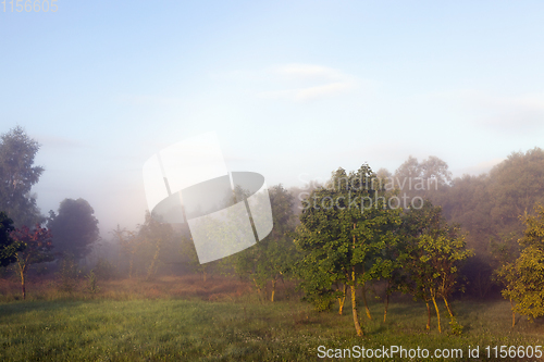 Image of landscape with misty