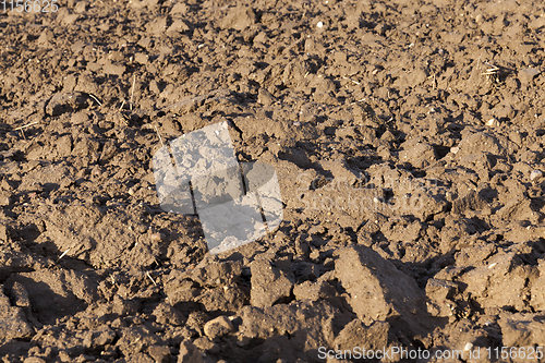 Image of Closeup shot of Soil texture