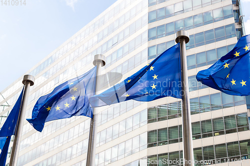 Image of European flags  in Brussels