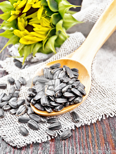 Image of Seeds sunflower in spoon on dark board