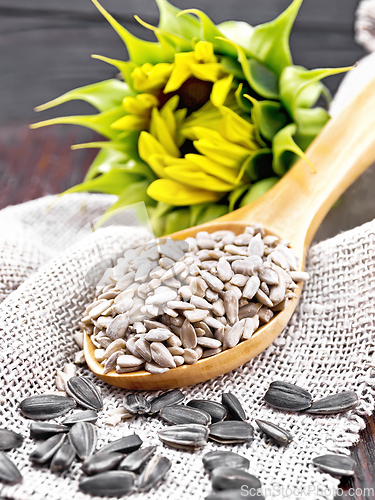 Image of Seeds sunflower in spoon with flower on table