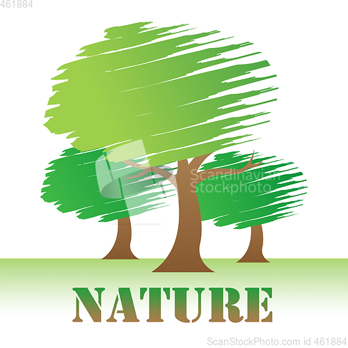 Image of Nature Trees Show Rural And Scenic Outdoors